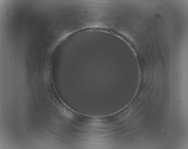 X0000072921359200607282100
