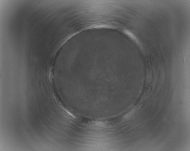 X0000072921361200607282100