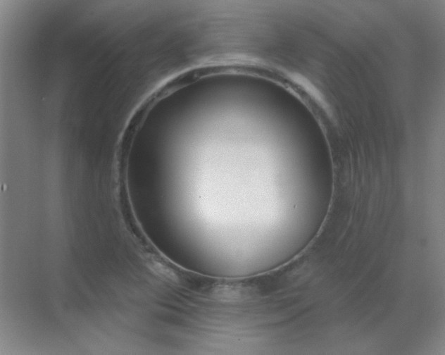 X0000072921364200607282100