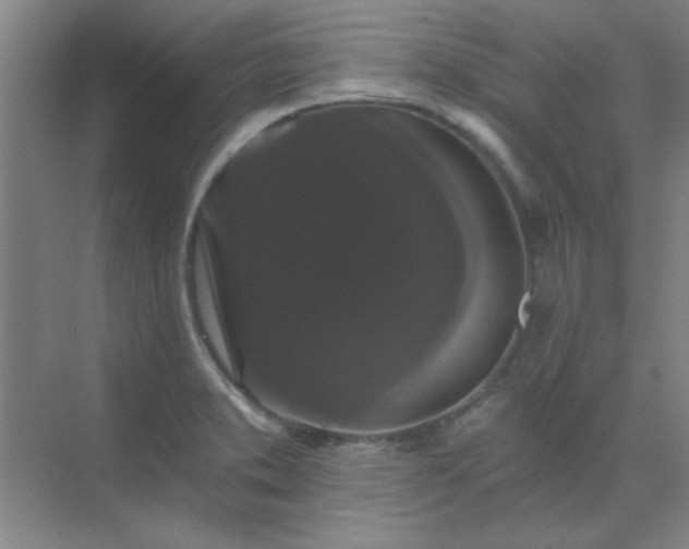 X0000072921373200607282100