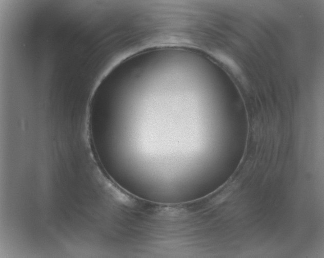 X0000072921374200607282100