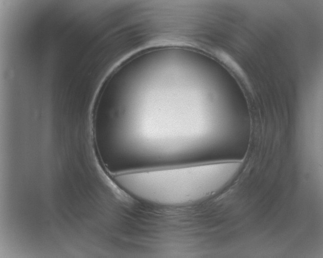 X0000072921380200607282100