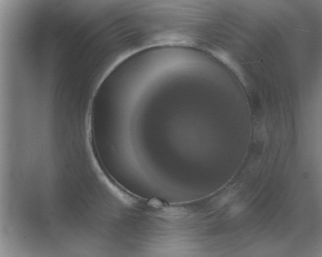 X0000072921383200607282100