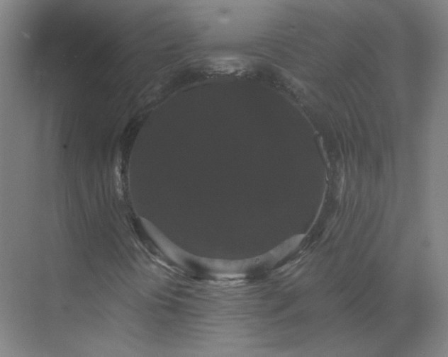 X0000072921394200607282059