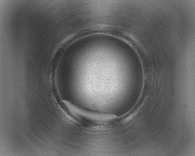 X0000072921402200607282059