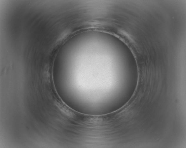 X0000072921403200607282059