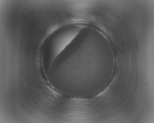 X0000072921405200607282059
