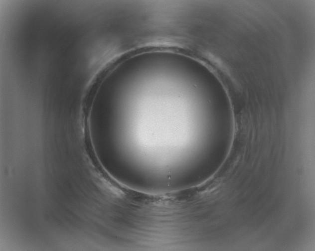 X0000072921408200607282059