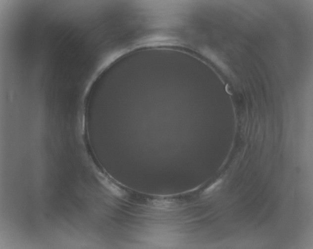 X0000072921413200607282059