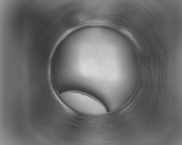 X0000072921424200607282100