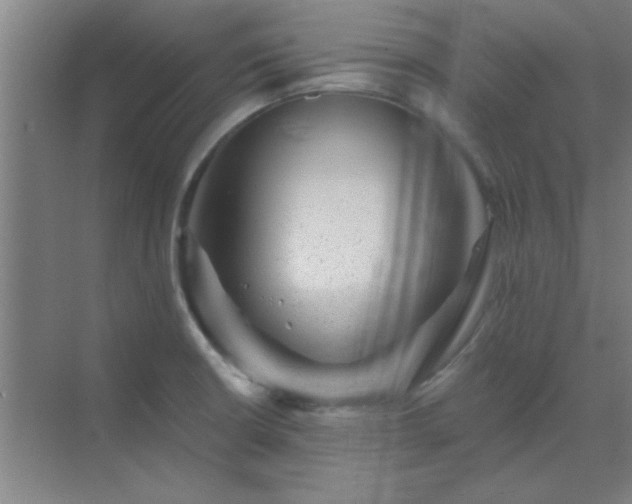 X0000072921426200607282100