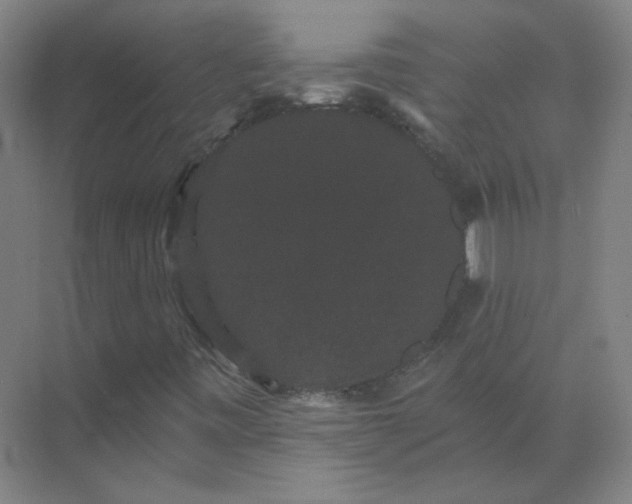 X0000072921443200607282059