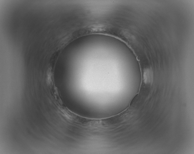 X0000072921444200607282059