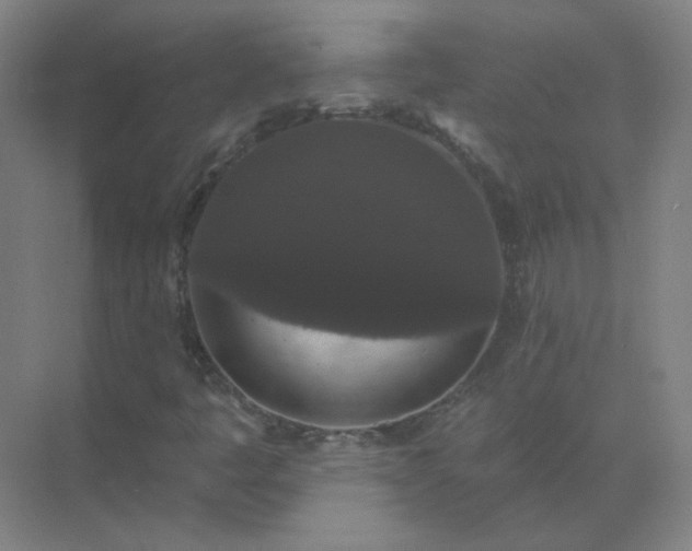 X0000072921445200607282059