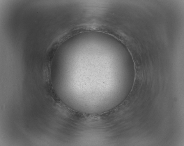 X0000072921446200607282059