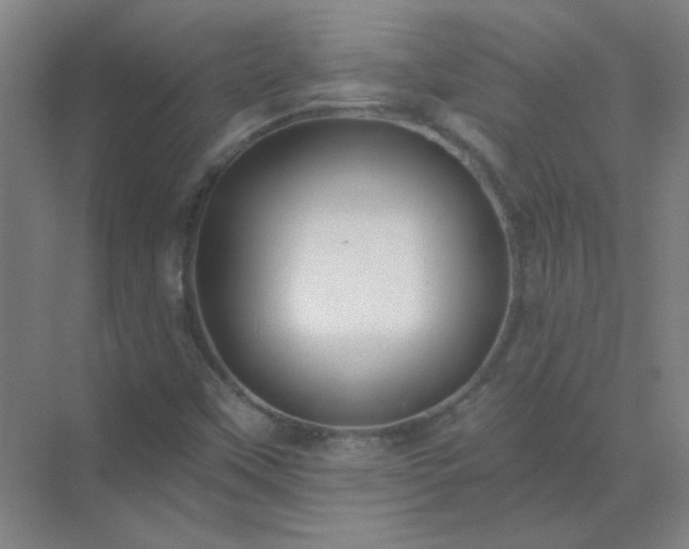 X0000072921451200607282059