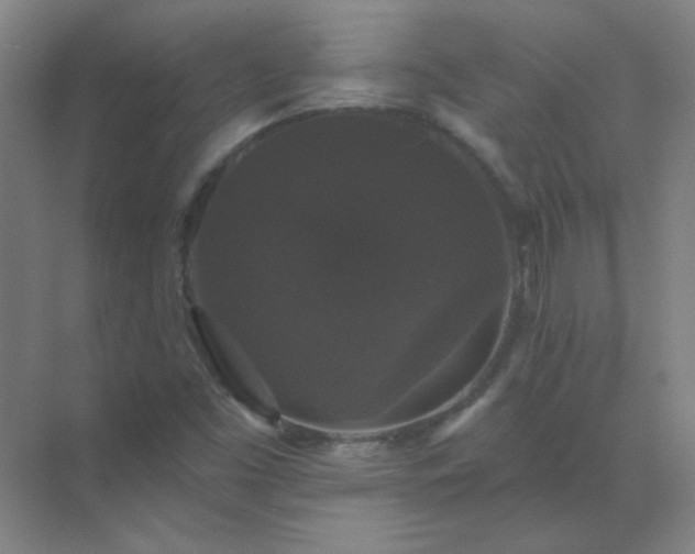 X0000072921453200607282059