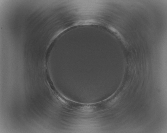X0000072921457200607282059