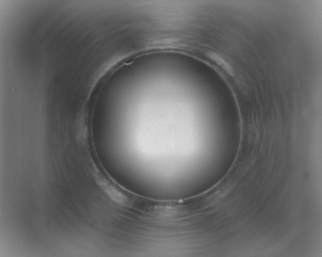X0000072921458200607282059