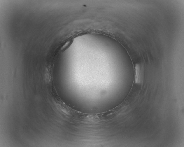 X0000072921491200607282057