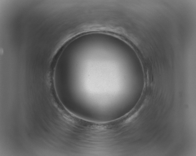 X0000072921501200607282058