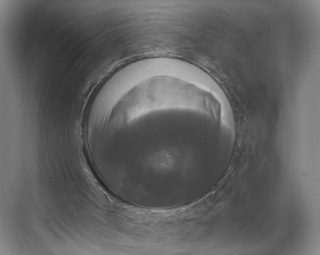 X0000072920002200608041202