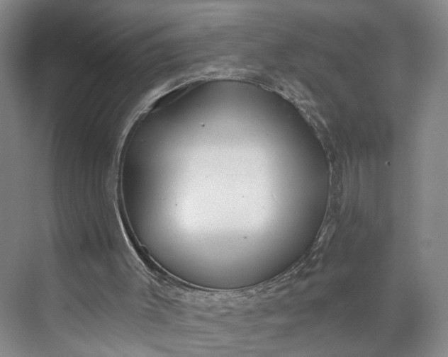 X0000072920003200608041202