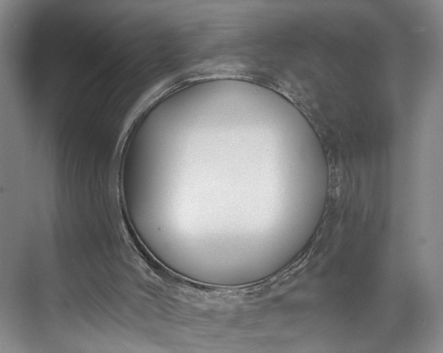 X0000072920004200608041202