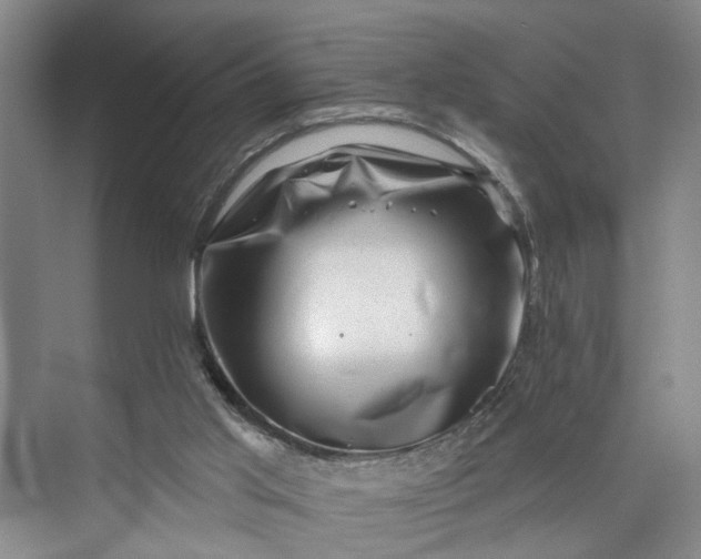 X0000072920013200608041202