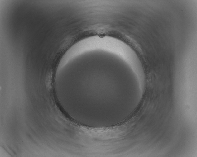 X0000072920018200608041202