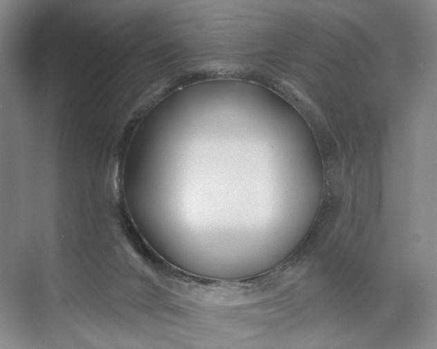 X0000072920024200608041202