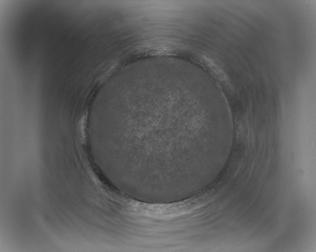 X0000072920026200608041202