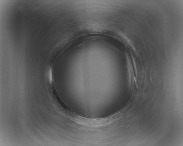 X0000072920027200608041202