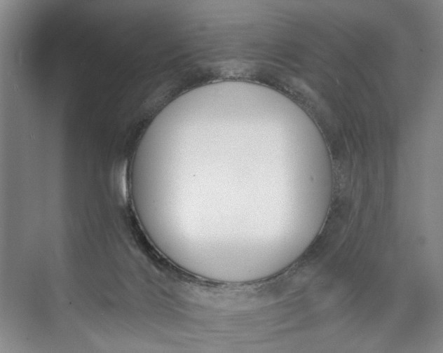 X0000072920028200608041201