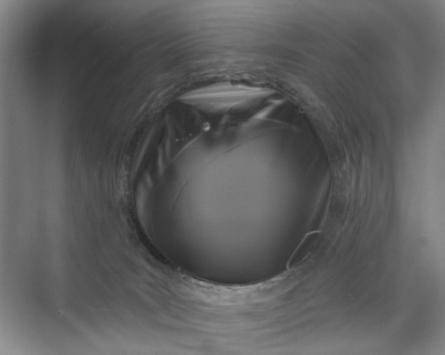 X0000072920035200608041201