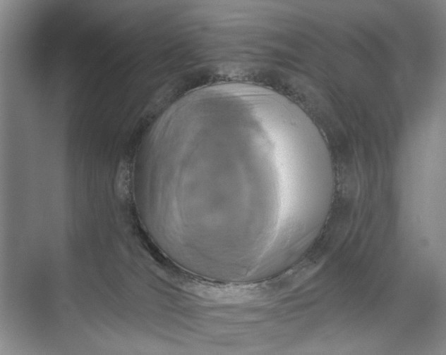 X0000072920036200608041201