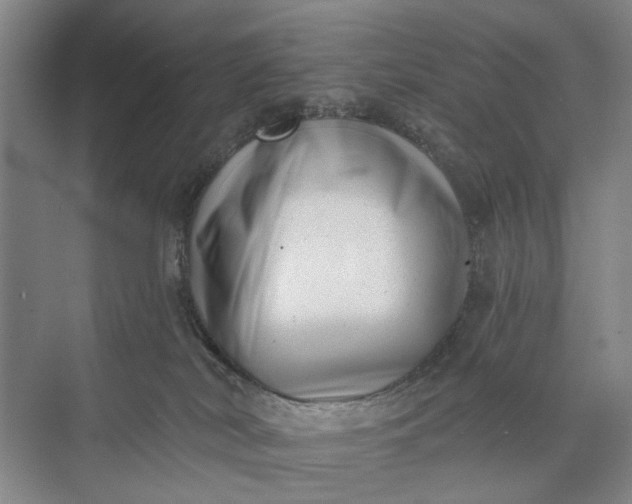 X0000072920038200608041201