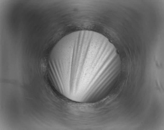 X0000072920040200608041201