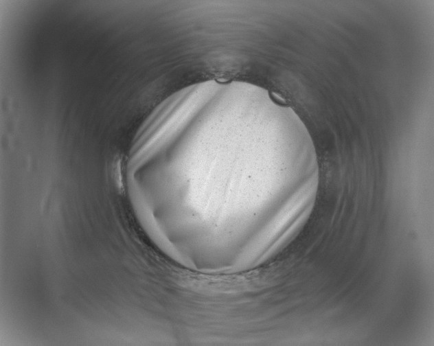 X0000072920042200608041201