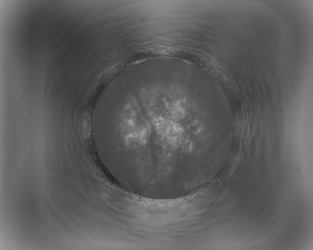X0000072920043200608041201