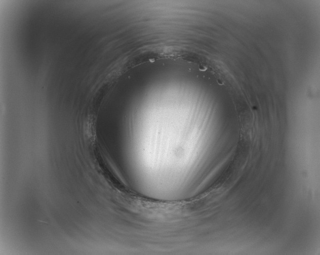 X0000072920044200608041201