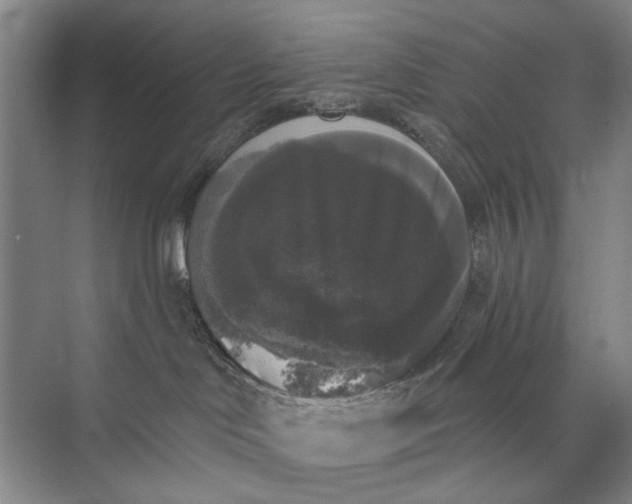 X0000072920046200608041201
