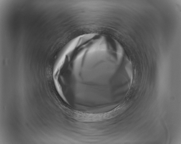 X0000072920048200608041201