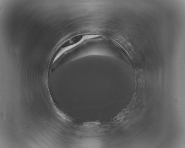 X0000072920051200608041200