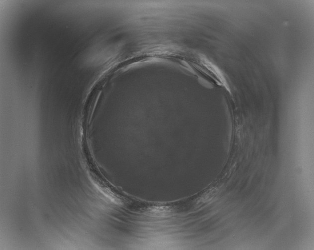 X0000072920059200608041201