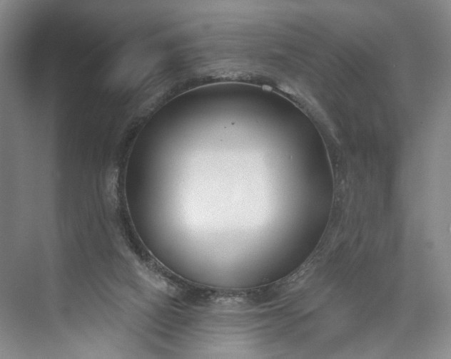 X0000072920066200608041201