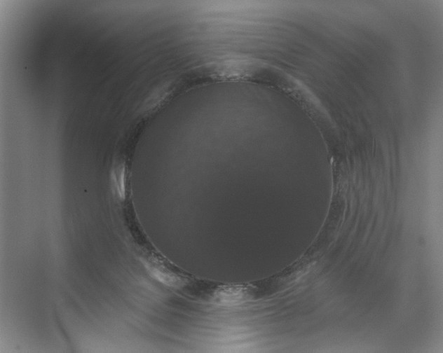 X0000072920076200608041201