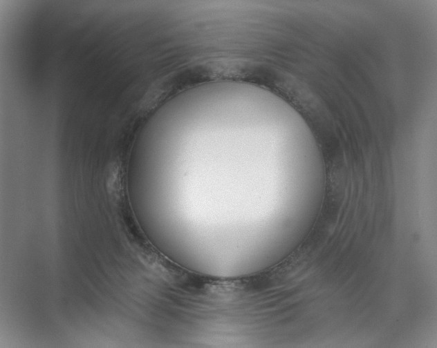 X0000072920079200608041201