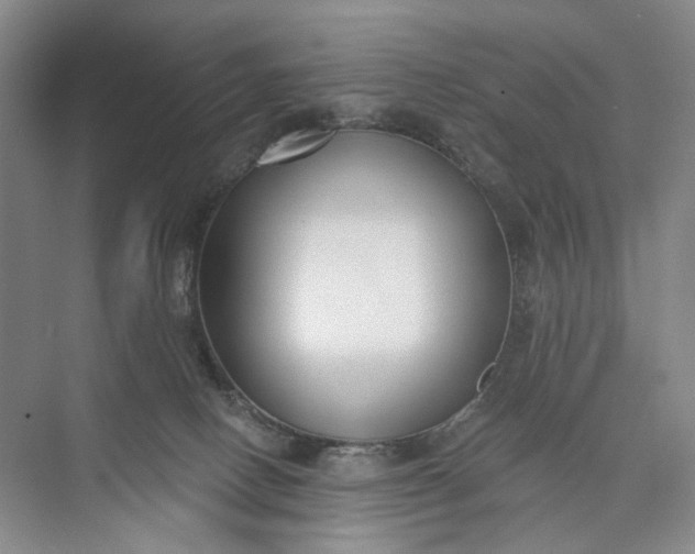 X0000072920082200608041201