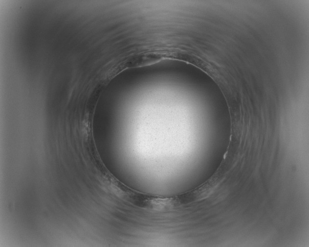 X0000072920085200608041201